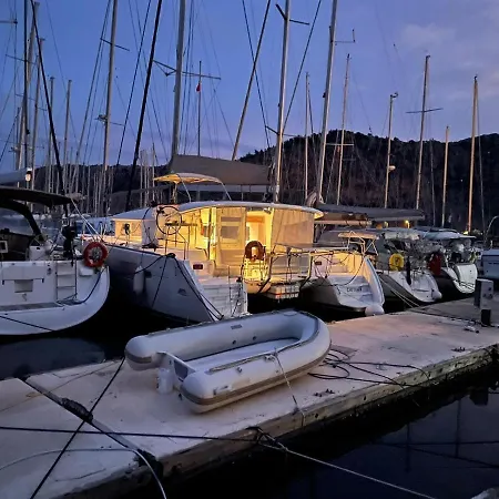 Antipodis *